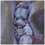 slides/Scottish Rockscape.jpg rocks, abstract,beach,water,scotland Scottish Rockscape